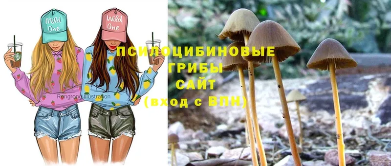 Галлюциногенные грибы Magic Shrooms  Юрьев-Польский 